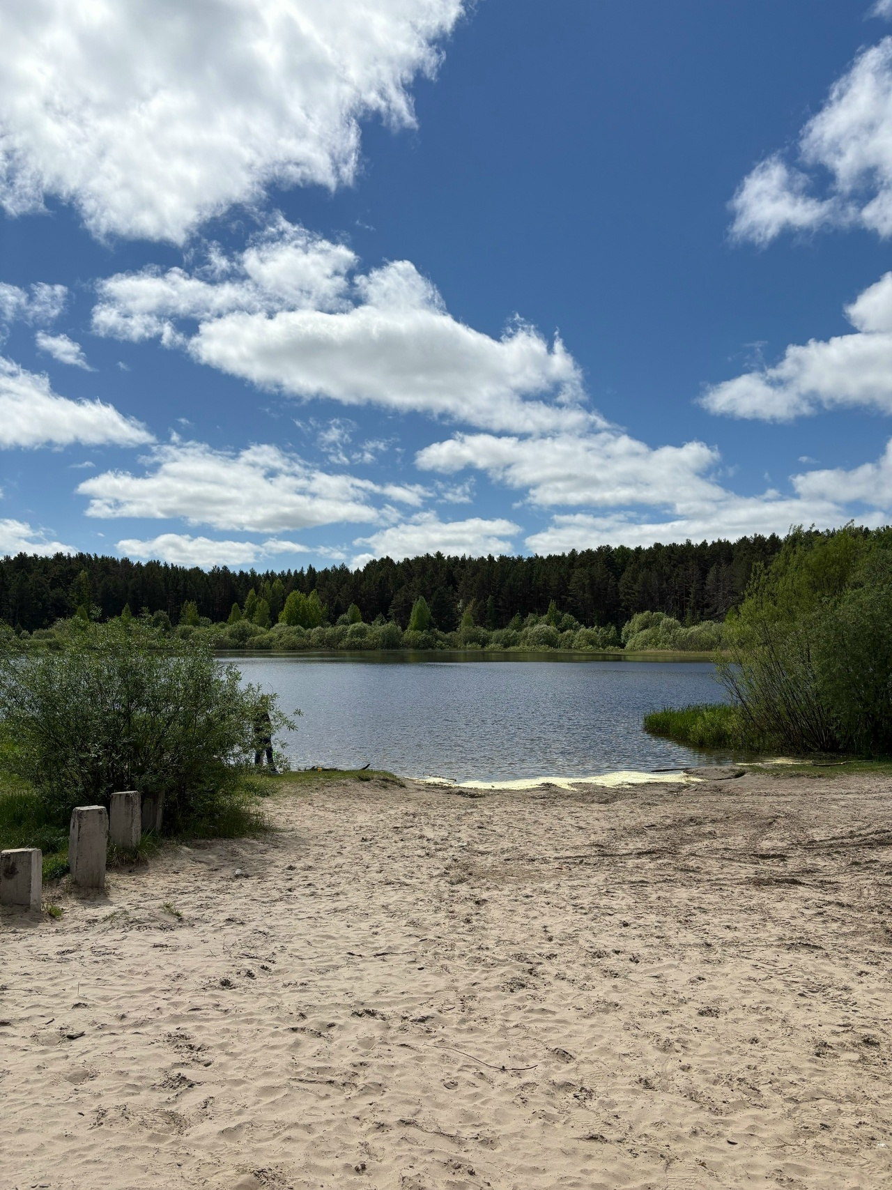 ПОХОД НА ДАЧУ ТОМСКОЙ ПРОГУЛКИ — ГЕОКУПОЛ☀