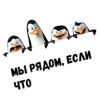 ТРЕНИРОВКА